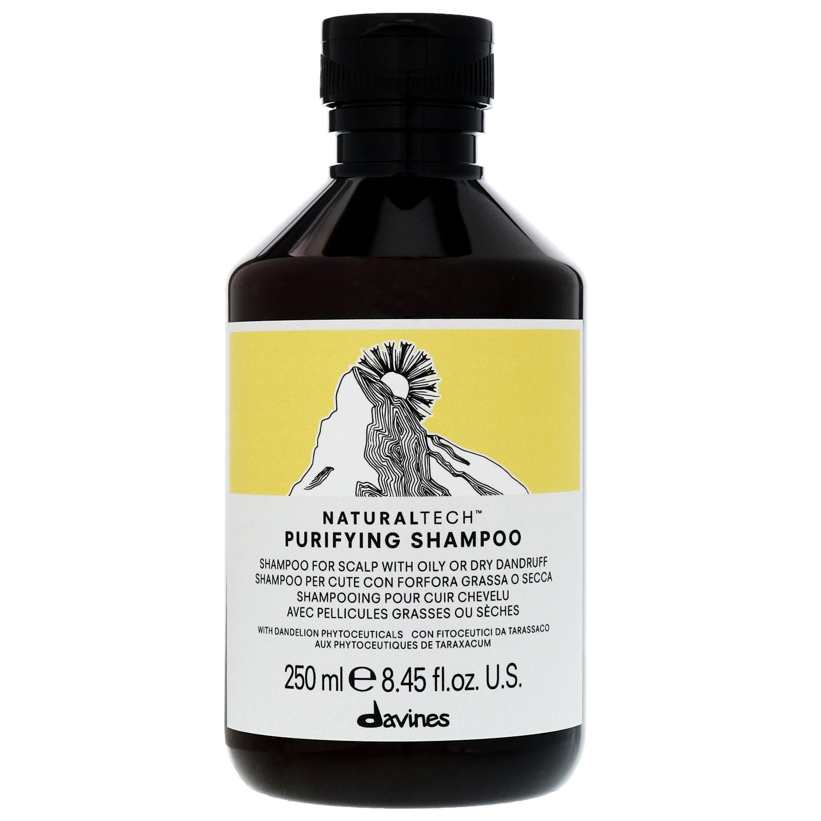 Davines NaturalTech Purifying Shampo 250ml