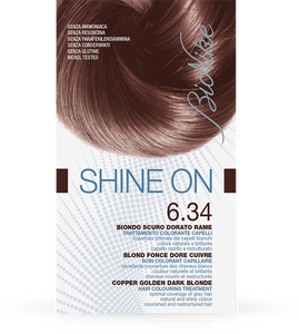 BioNike SHINE ON Nr.6.34