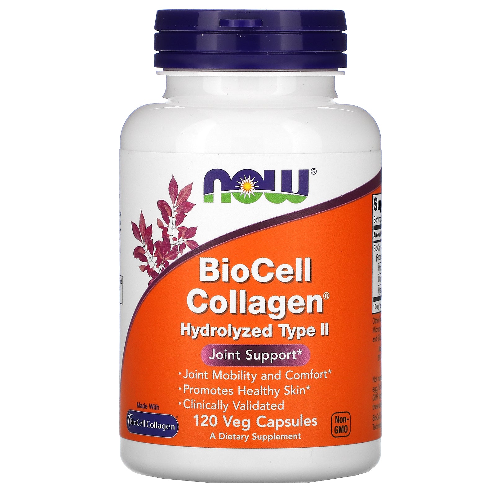 Now BioCell Collagen Hydrolyzed Type II Veg Capsules