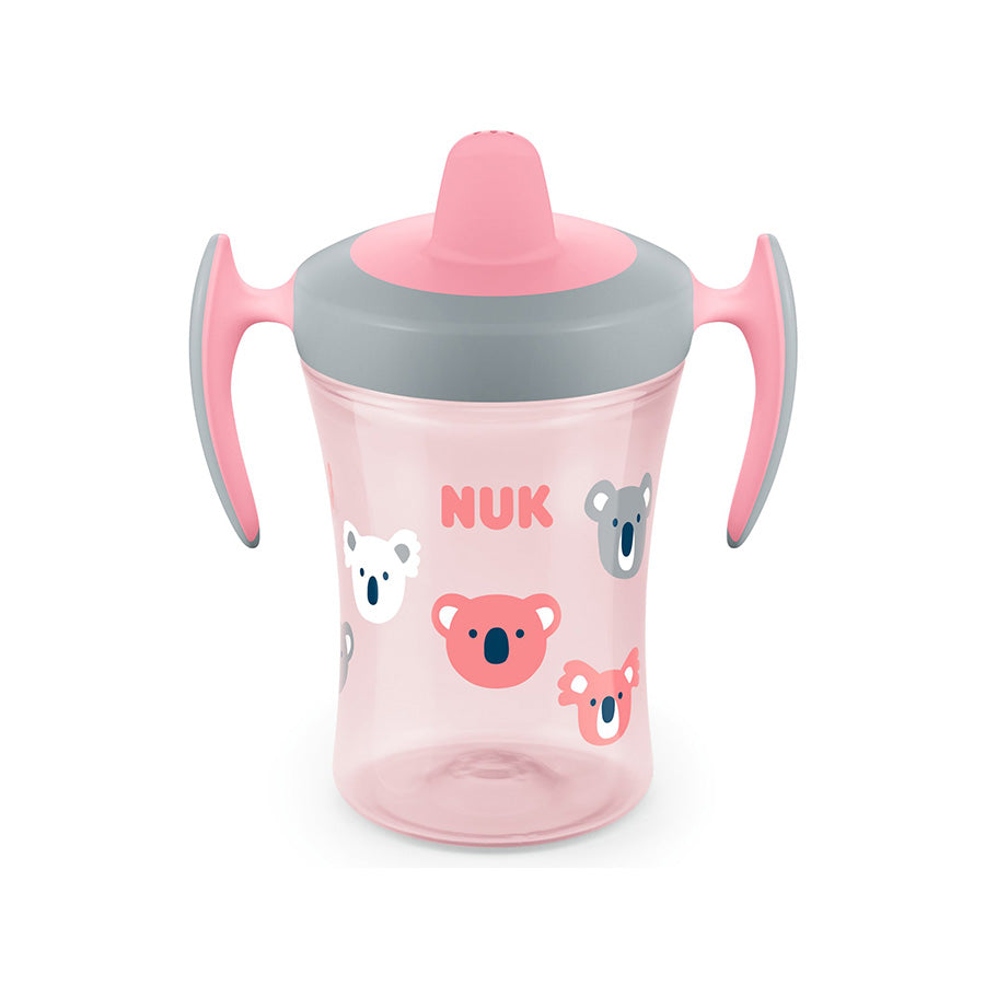 NUK Trainer Cup with spout 6M+